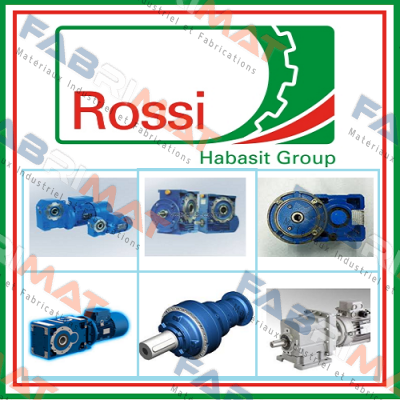 1253011  AS 30X55X8  Rossi