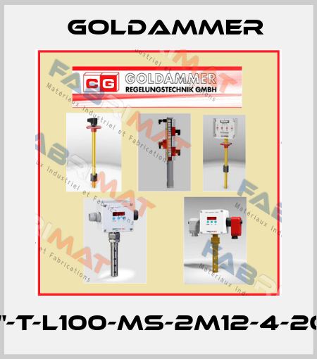G1/2"-T-L100-MS-2M12-4-20mA Goldammer