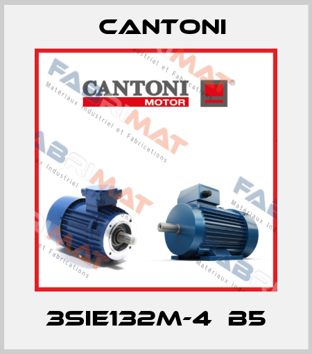 3SIE132M-4  B5 Cantoni
