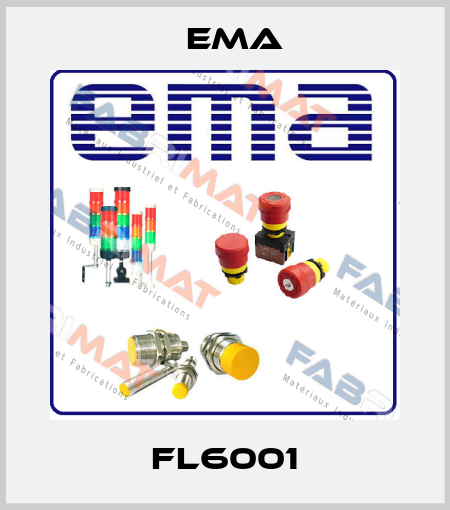 Fl6001 EMA