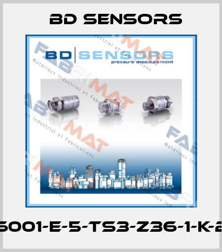 590-6001-E-5-TS3-Z36-1-K-2-000 Bd Sensors