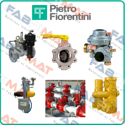 7770036 Pietro Fiorentini