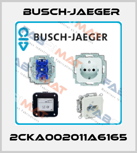 2CKA002011A6165 Busch-Jaeger