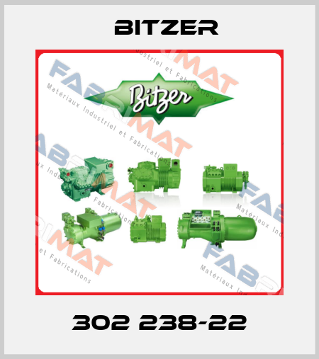 302 238-22 Bitzer