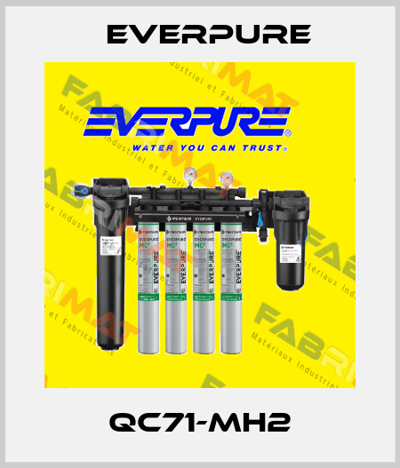 QC71-MH2 Everpure