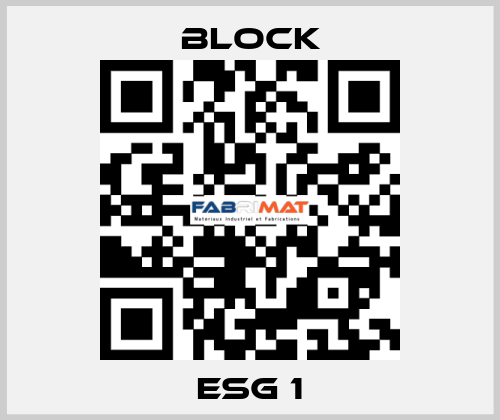 ESG 1 Block