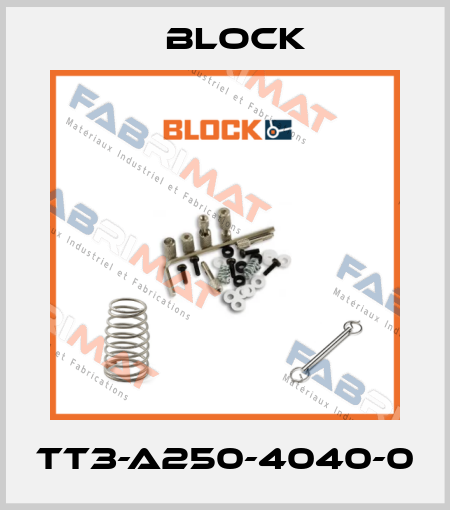 TT3-A250-4040-0 Block