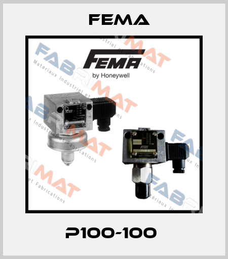 P100-100  FEMA