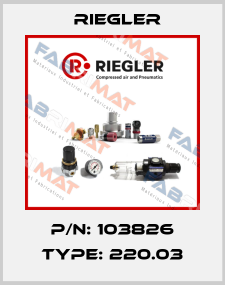 P/N: 103826 Type: 220.03 Riegler