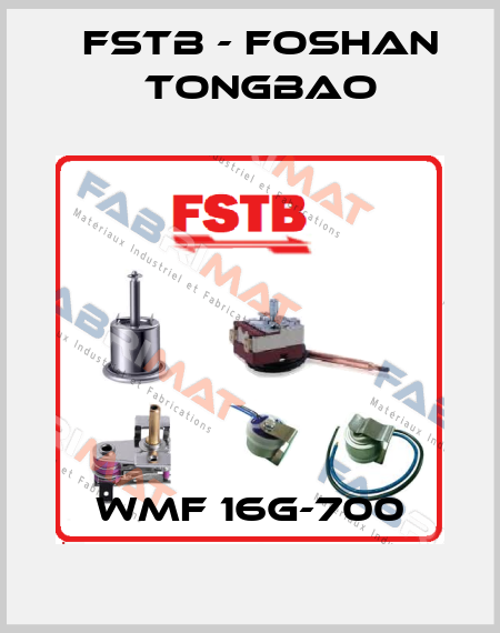WMF 16G-700 FSTB - Foshan Tongbao