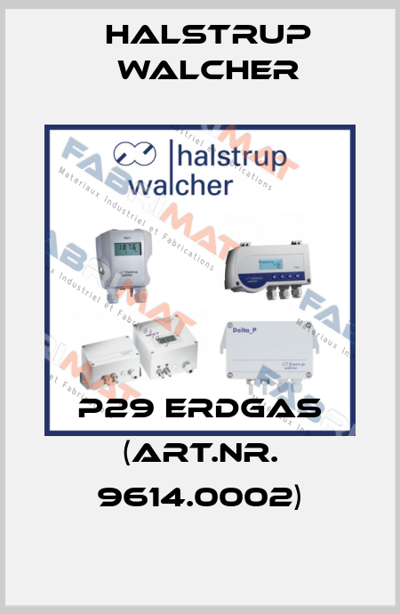 P29 Erdgas (Art.nr. 9614.0002) Halstrup Walcher