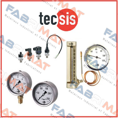 P3326B084021  Tecsis (WIKA Group)