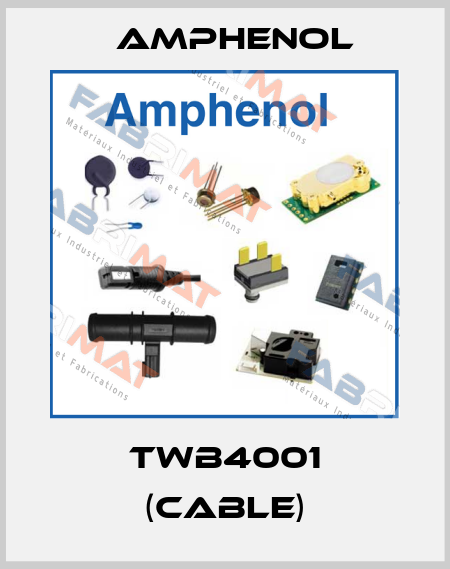 TWB4001 (cable) Amphenol