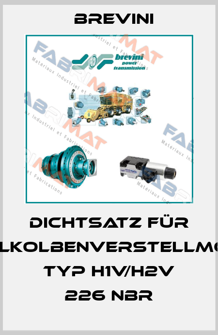 Dichtsatz für Axialkolbenverstellmotor Typ H1V/H2V 226 NBR Brevini