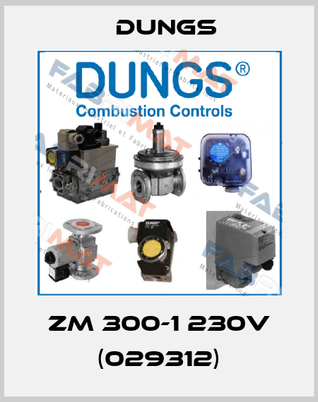 ZM 300-1 230V (029312) Dungs