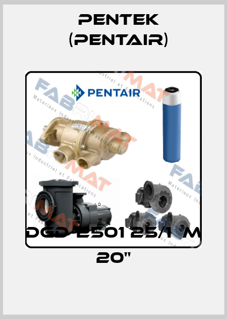 DGD-2501 25/1µm 20" Pentek (Pentair)