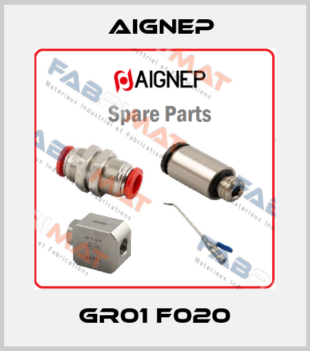 GR01 F020 Aignep