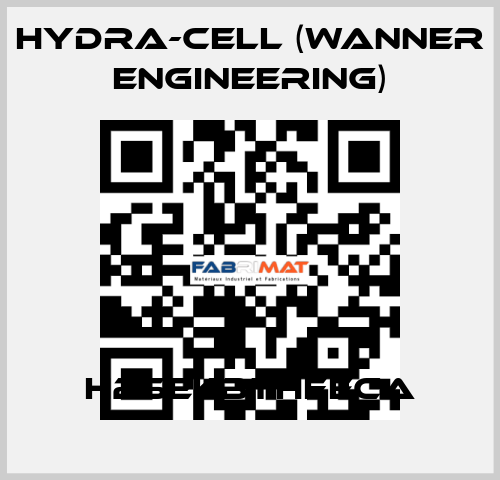 H25EKBTHFECA Hydra-Cell (Wanner Engineering)