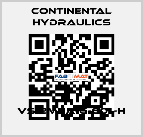VS12M-1A-G-60L-H Continental Hydraulics