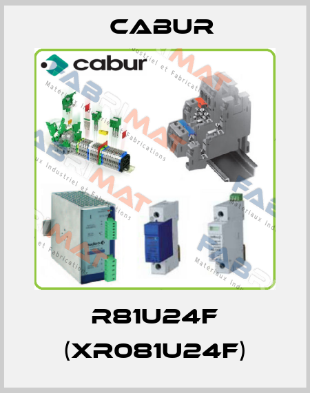 R81U24F (XR081U24F) Cabur