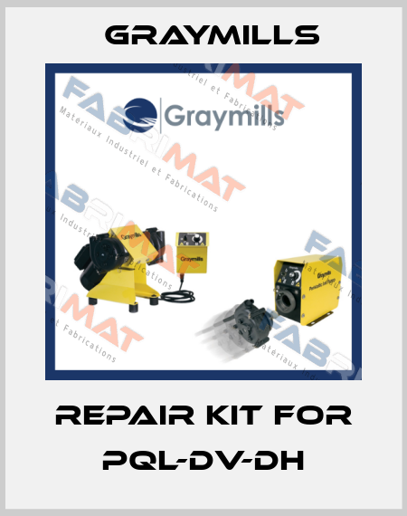 Repair Kit For PQL-DV-DH Graymills