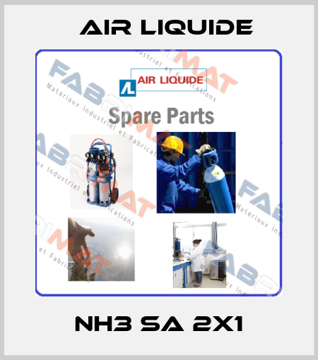 NH3 SA 2X1 Air Liquide