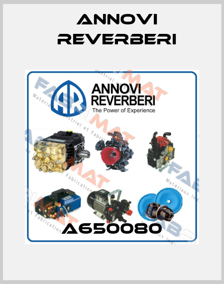 A650080 Annovi Reverberi
