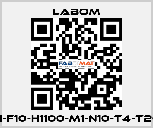 CV3110-A1051-F10-H1100-M1-N10-T4-T20-K1085-K80 Labom