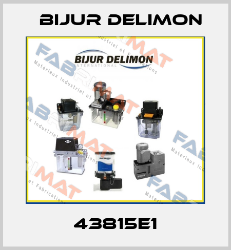 43815E1 Bijur Delimon
