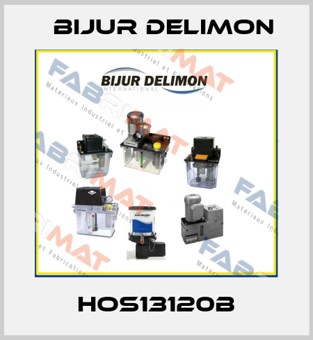 HOS13120B Bijur Delimon