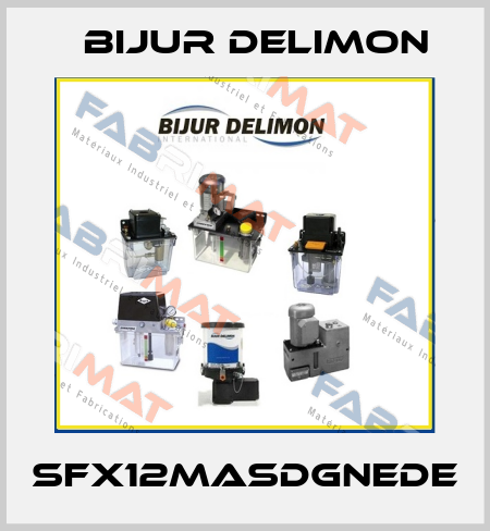 SFX12MASDGNEDE Bijur Delimon