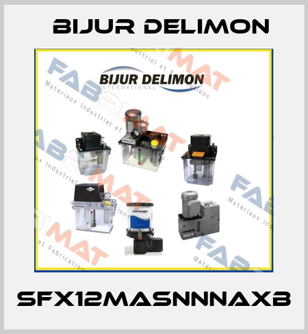SFX12MASNNNAXB Bijur Delimon