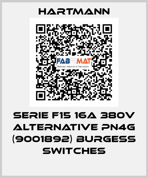 SERIE F15 16A 380V ALTERNATIVE PN4G (9001892) Burgess switches Hartmann