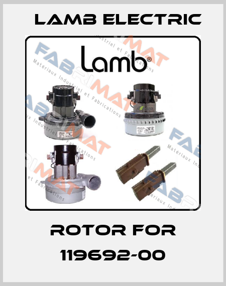 Rotor for 119692-00 Lamb Electric