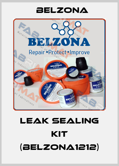 Leak Sealing Kit (Belzona1212) Belzona