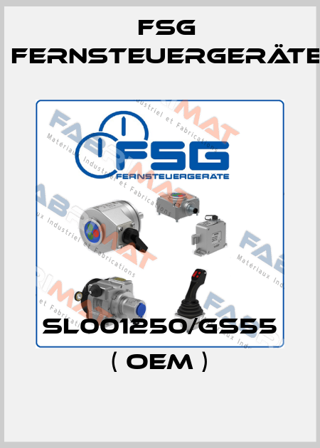 SL001250/GS55 ( OEM ) FSG Fernsteuergeräte