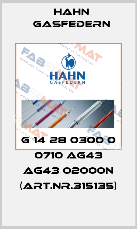 G 14 28 0300 0 0710 AG43 AG43 02000N (Art.Nr.315135) Hahn Gasfedern