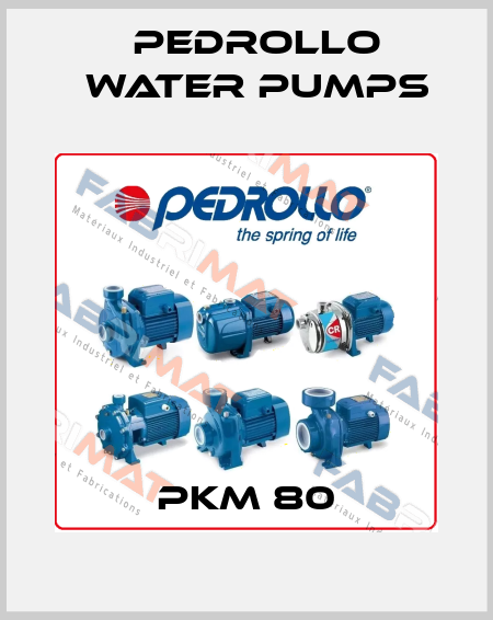 PKm 80 Pedrollo Water Pumps