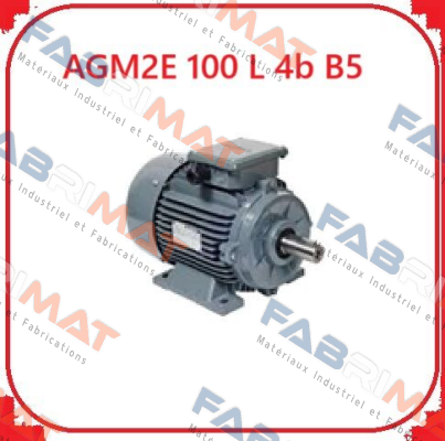 AGM2E 100 L 4b B5 Gamak