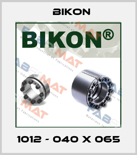 1012 - 040 X 065 Bikon