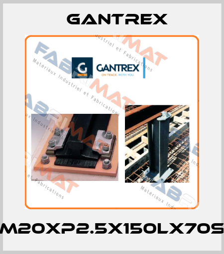 M20xP2.5x150Lx70S Gantrex