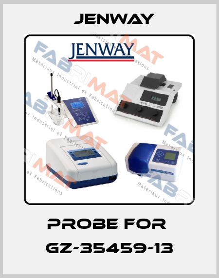 probe for  GZ-35459-13 Jenway