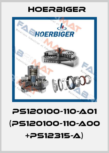 PS120100-110-A01 (PS120100-110-A00 +PS12315-A) Hoerbiger