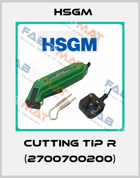 Cutting Tip R (2700700200) HSGM