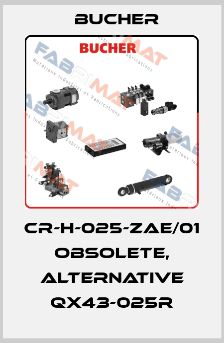 CR-H-025-ZAE/01 obsolete, alternative QX43-025R Bucher