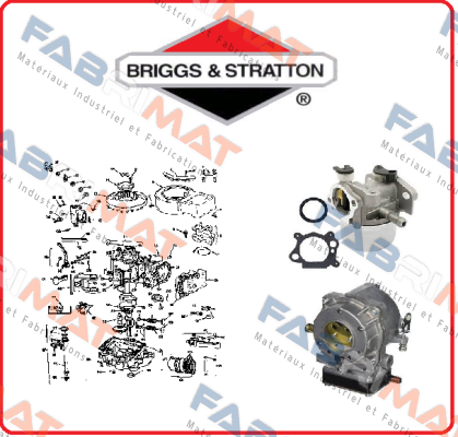 beating for P12597RB Briggs-Stratton