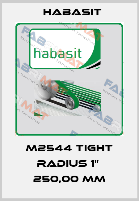 M2544 Tight Radius 1"  250,00 mm Habasit