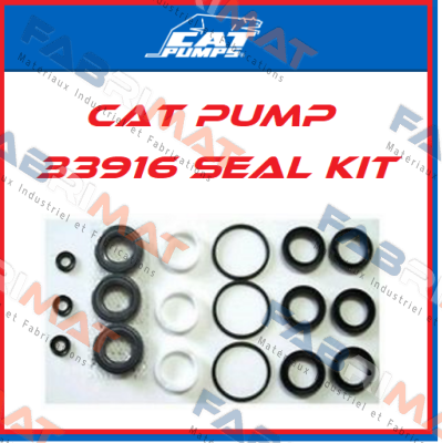 33916 Cat Pumps