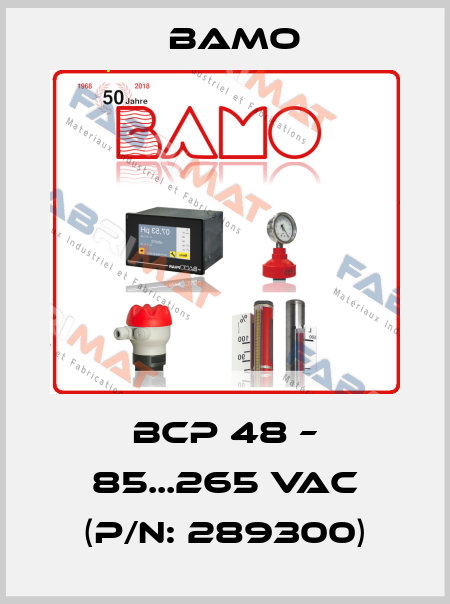 BCP 48 – 85...265 VAC (P/N: 289300) Bamo