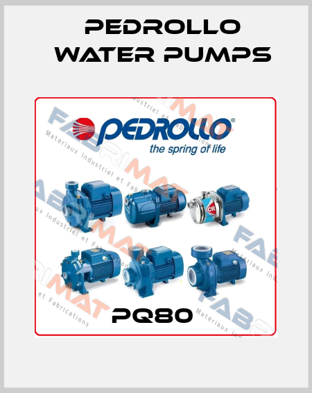PQ80  Pedrollo Water Pumps